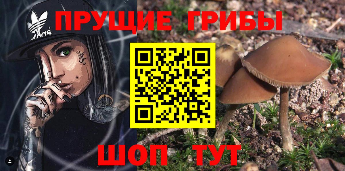 Галлюциногенные грибы Magic Shrooms Коркино