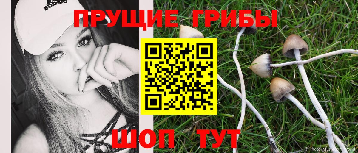 Коркино  Галлюциногенные грибы мицелий  Вход с VPN 